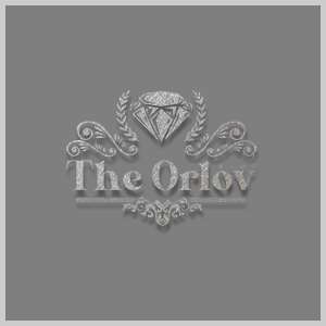 20_bnr_3ren_02orlov_def